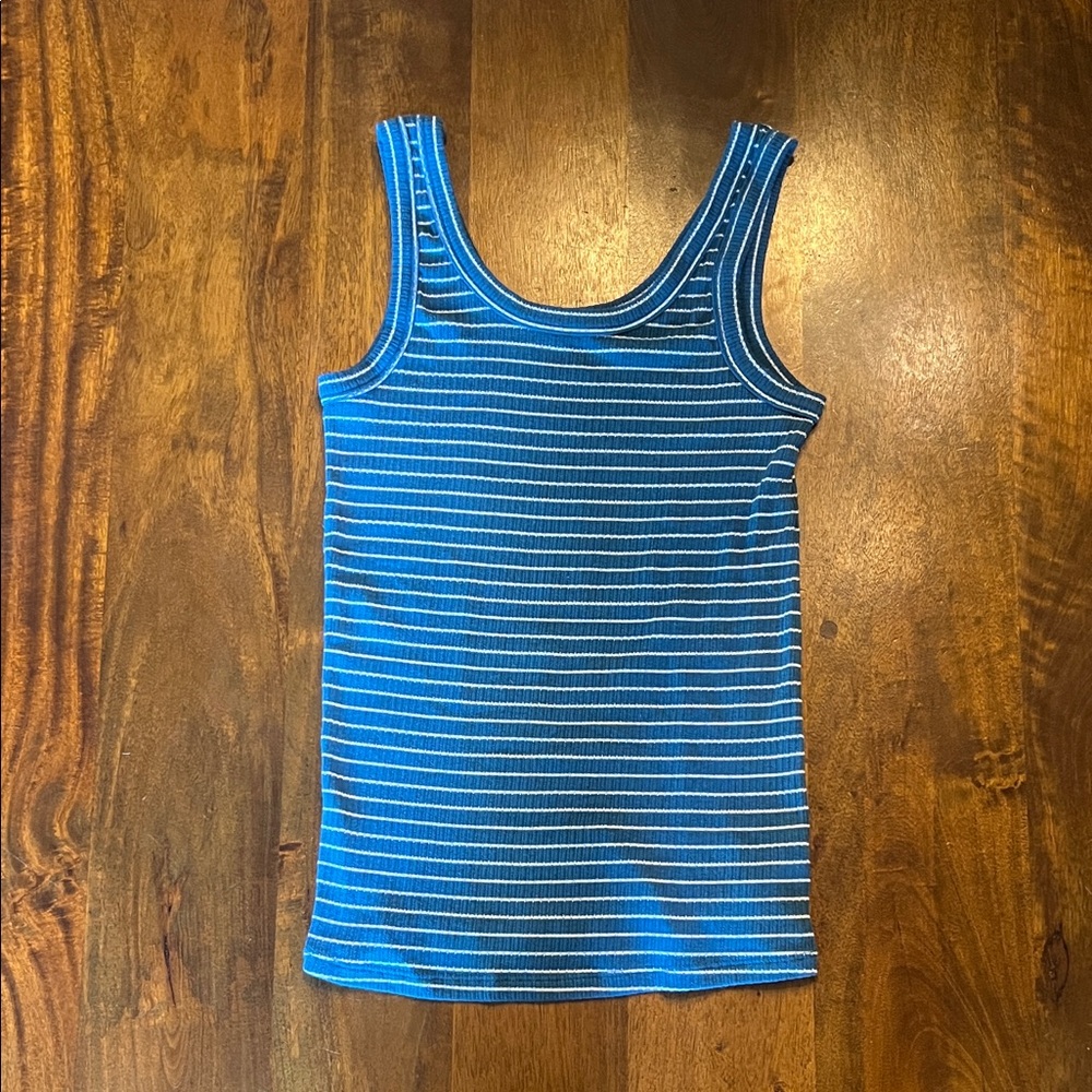 Carve Designs Blue Striped Tank Top